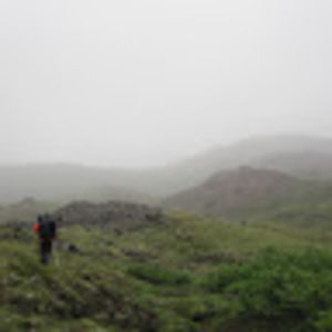 Meet your Posher, Ray